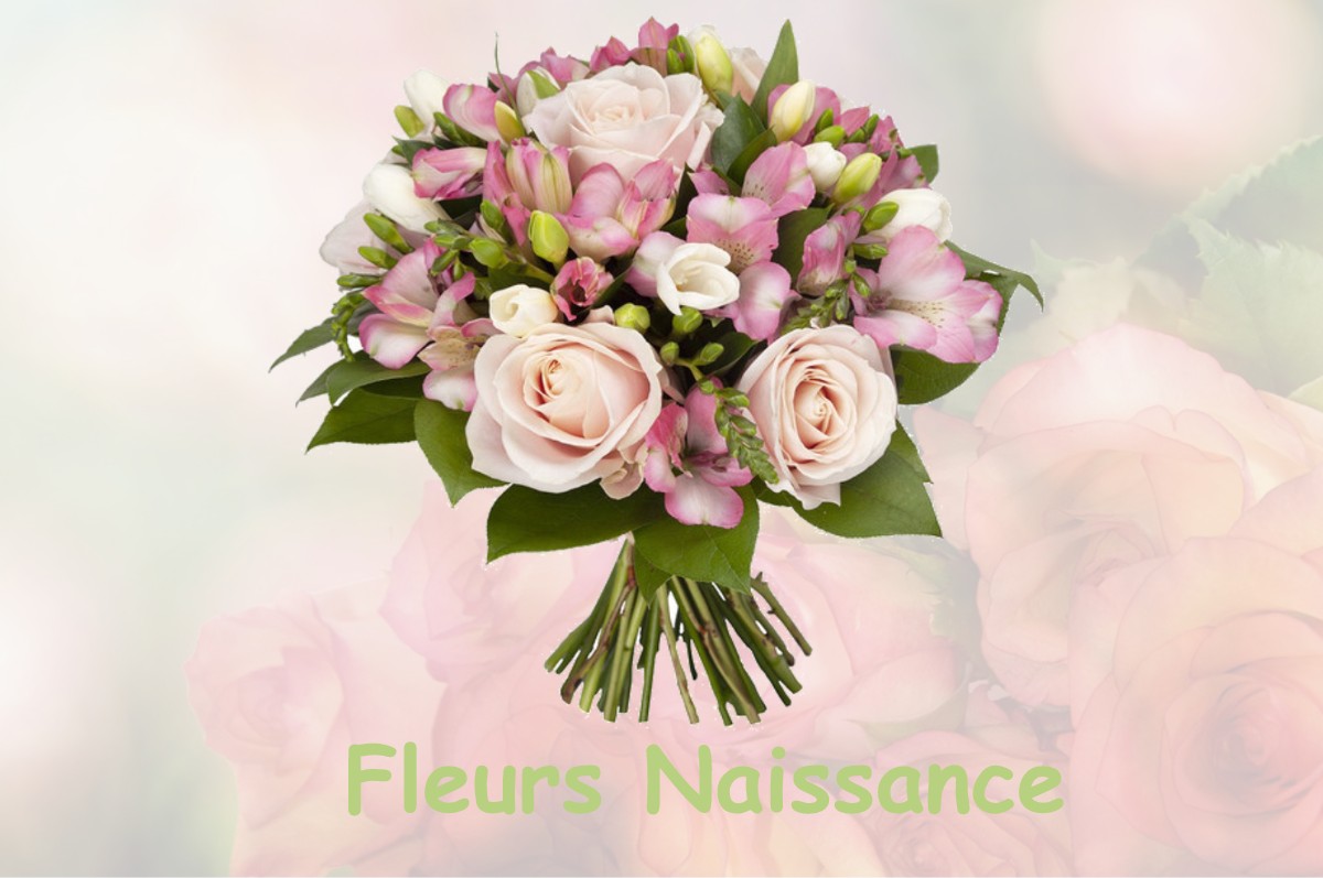 fleurs naissance MONTIERS-SUR-SAULX